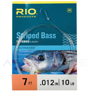 Bas de ligne RIO Striped Bass 7´ (2,10m)