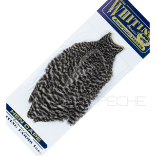 Cou de poule American Hackle grizzly