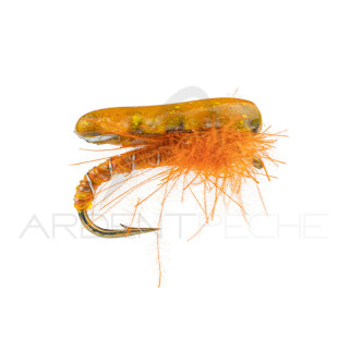 Nymphe Alan Campbell SBN 062 orange