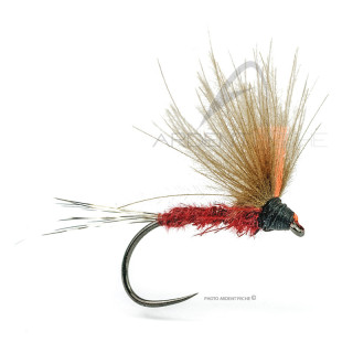 Mouche A.P. CDC Pirenaica