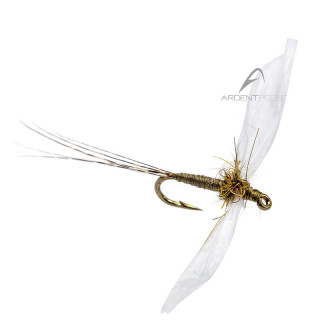 Mouche AB FLY Ephémères spents SBC OL