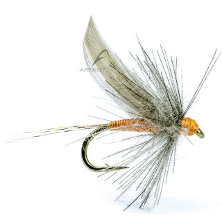 Mouche AB FLY Ephémères subimagos ornans OR