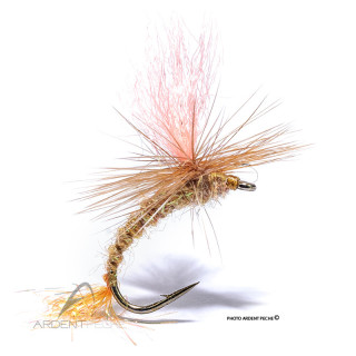 Mouche Igor et Nadica Stancev Parachute ginger