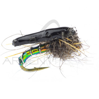 Nymphe Alan Campbell SBN 031