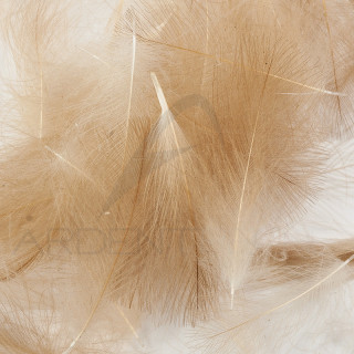 Cul de canard vrac AB FLY 1gr