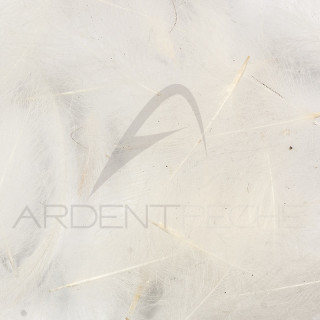 Cul de canard vrac AB FLY 1gr