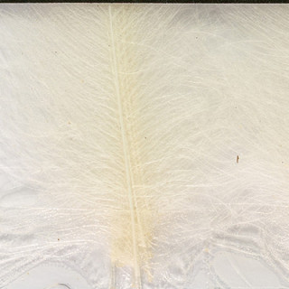 Cul de canard DEVAUX select