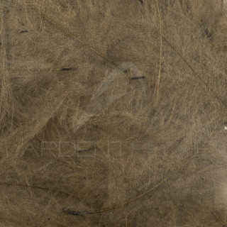 Cul de canard 54 DeanStreet super select