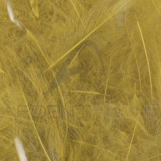 Cul de canard 54 DeanStreet super select