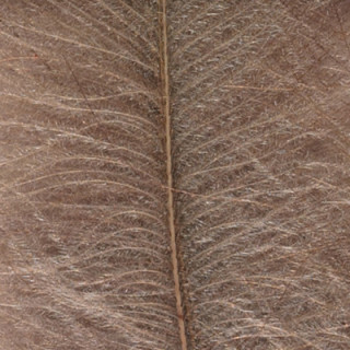 Cul de canard DEVAUX select