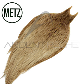 Cous de coq METZ grade 2