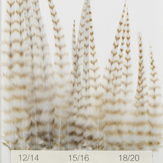 Hackles Génétic DEVAUX