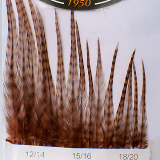 Hackles Génétic DEVAUX