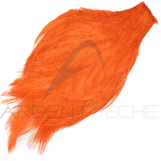 Cou de coq teinté ( rooster neck)