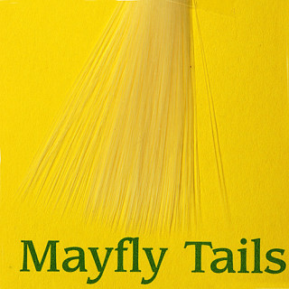 Mayfly tails