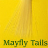Mayfly tails