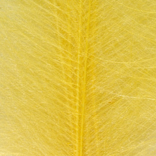 Cul de canard DEVAUX select