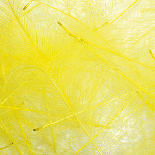 Cul de canard PETITJEAN 1gr