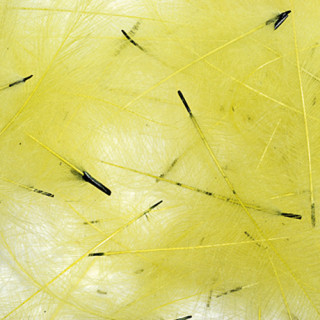 Cul de canard PETITJEAN 1gr