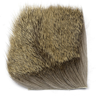 Chevreuil sur peau Polish Quill