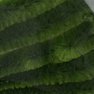 Micro Dragon Tails 10 cm