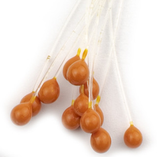 Yeux epoxy de crabes