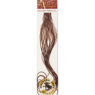 Plumes de coq WHITING 100