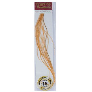 Plumes de coq WHITING 100
