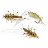 Mouche réaliste Stonefly nymphe Or