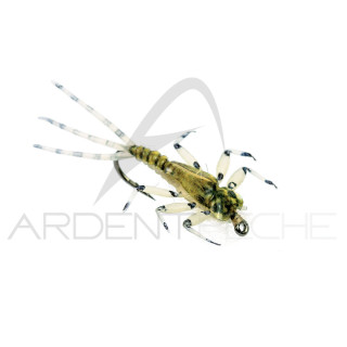Mouche réaliste Mayfly nymphe Olive