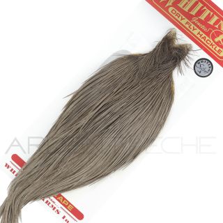 Cous de coq Whiting Silver gris foncé