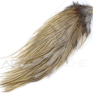 Demi croupe DEVAUX Pardo claire