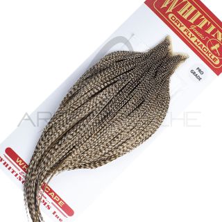 Cous de coq WHITING Pro grade Dun Grizzly