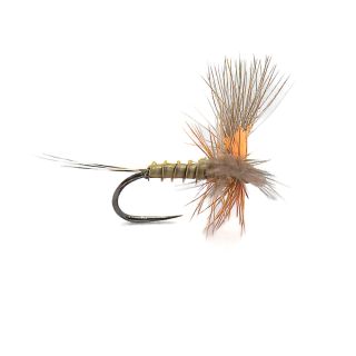 Mouche DEVAUX Emergente JBE 85 (par 3)